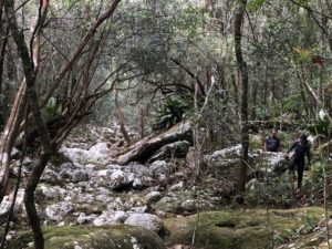 Trilha para a fumaça por baixo